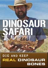 Dinosaur Safari: Dig and Keep Real Dinosaur Bones
